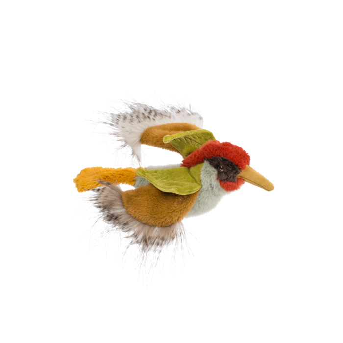 Green woodpecker