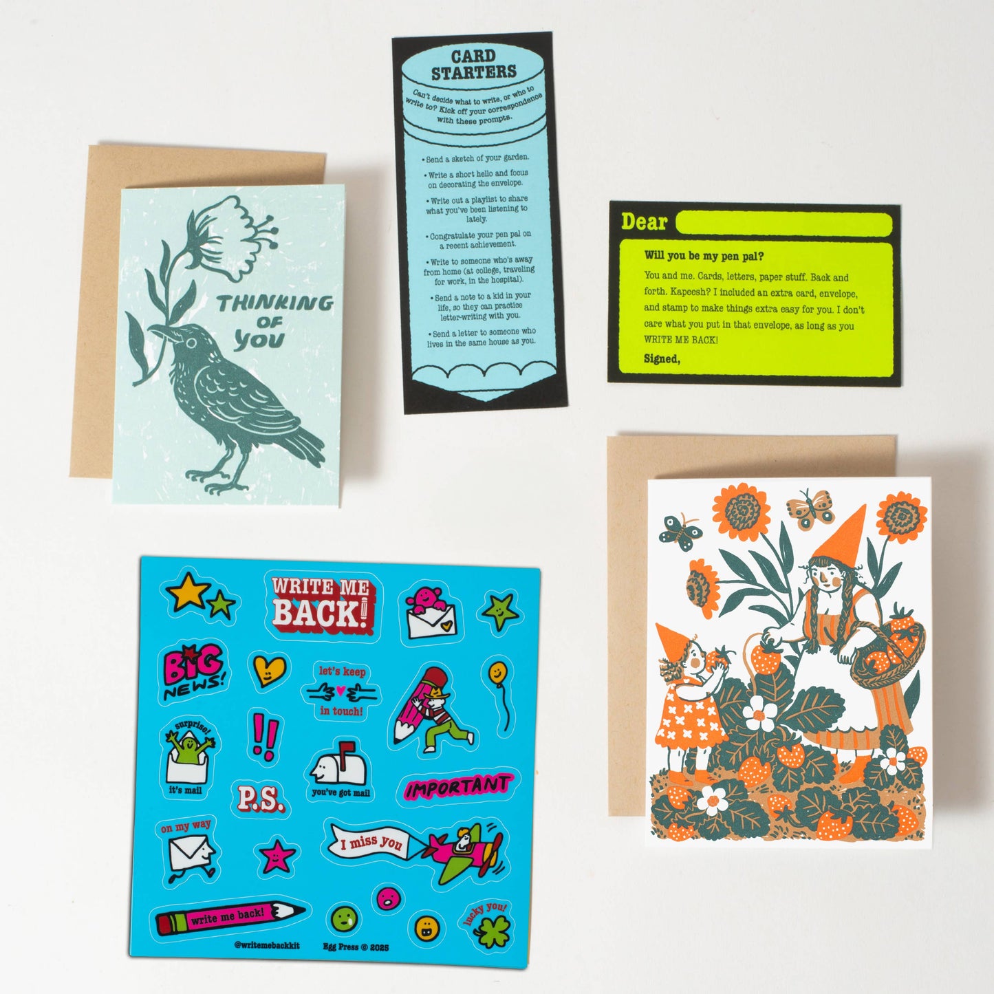 Strawberry + Crow Letter Writing Write Me Back Pen Pal Kit
