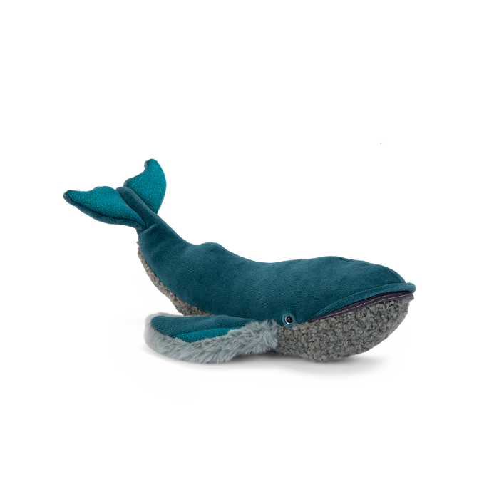 Whale