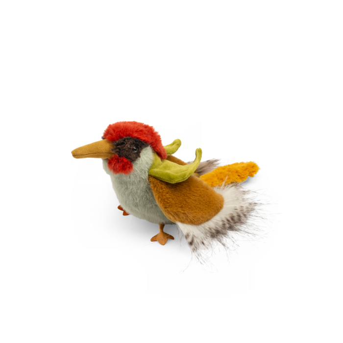 Green woodpecker