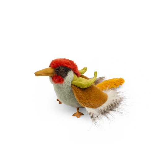 Green woodpecker