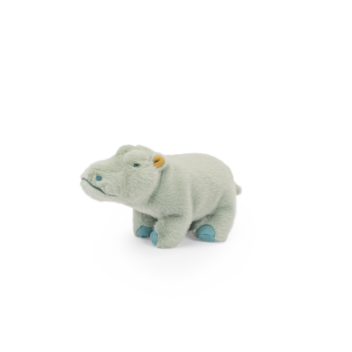 Small hippopotamus