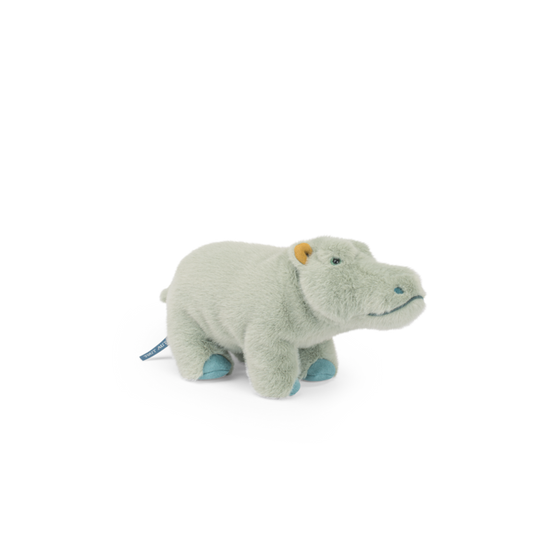 Small hippopotamus
