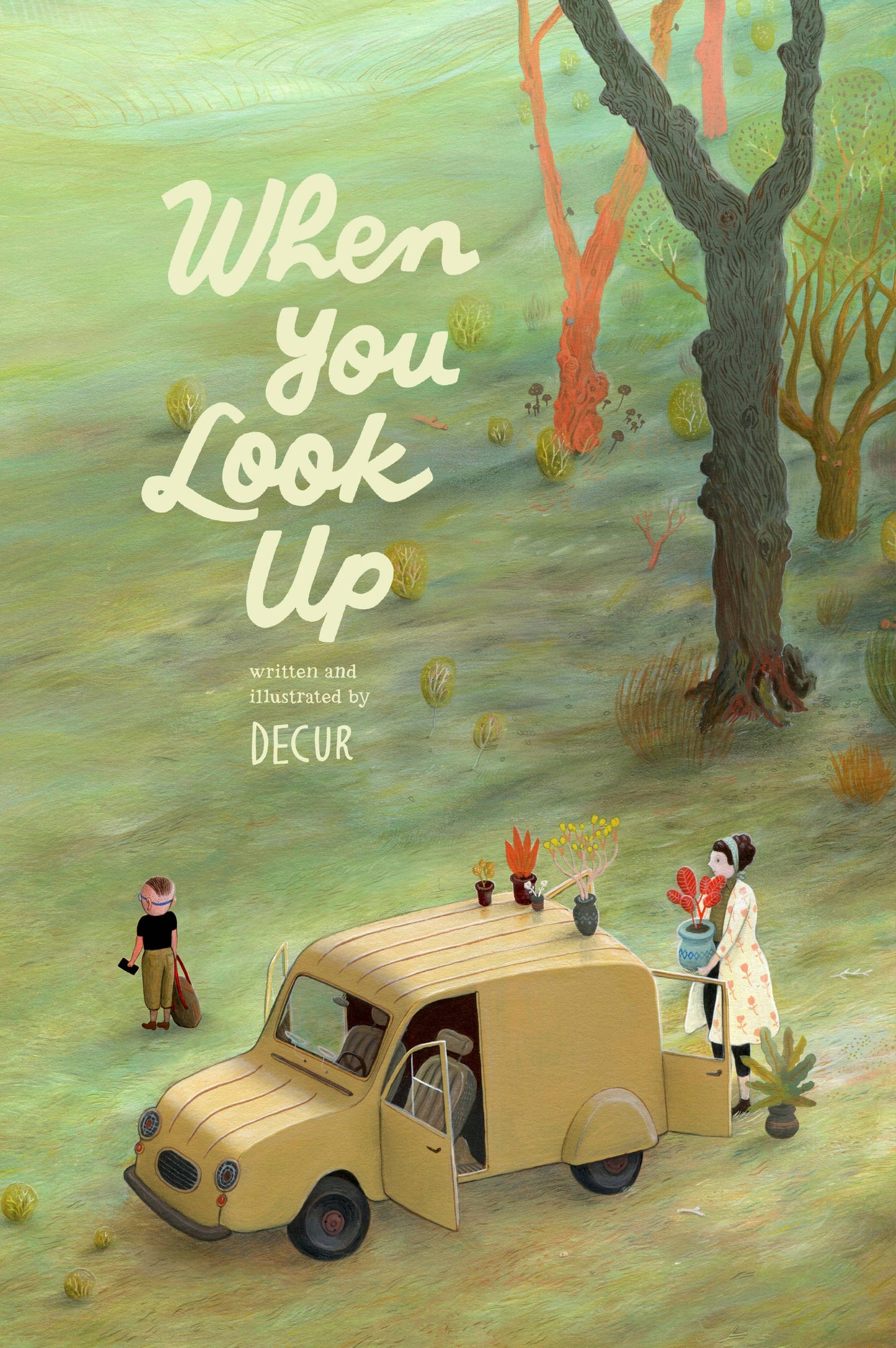 When You Look Up - Picture Book