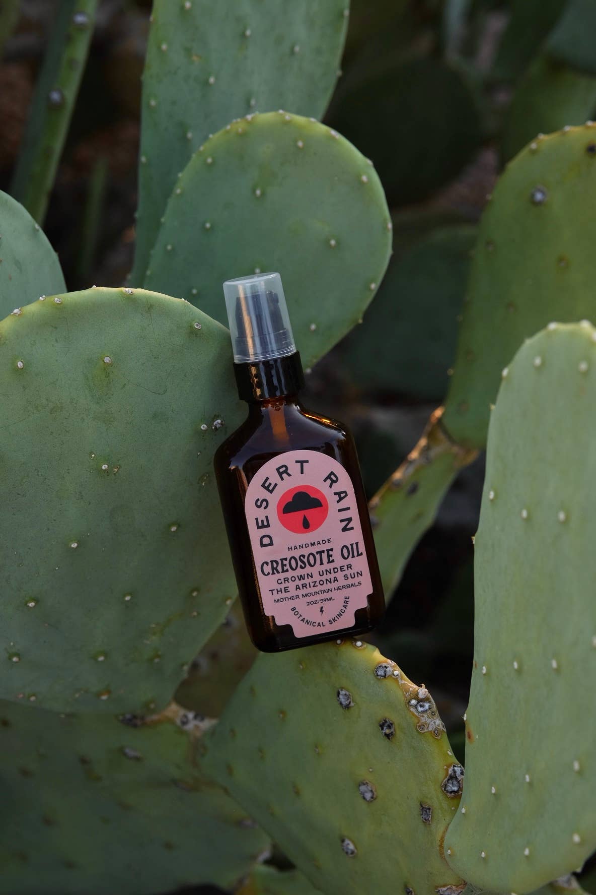 Mother Mountain Herbals - Desert Rain Creosote Oil