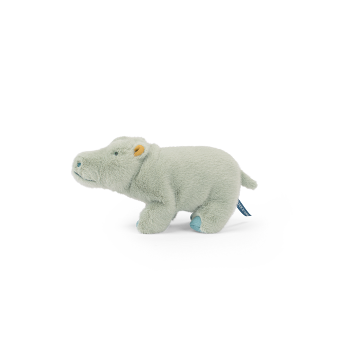 Small hippopotamus
